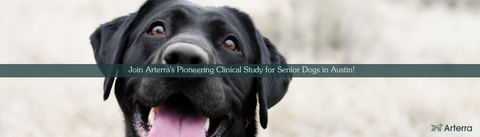 Arterra Pet Science Clinical Study