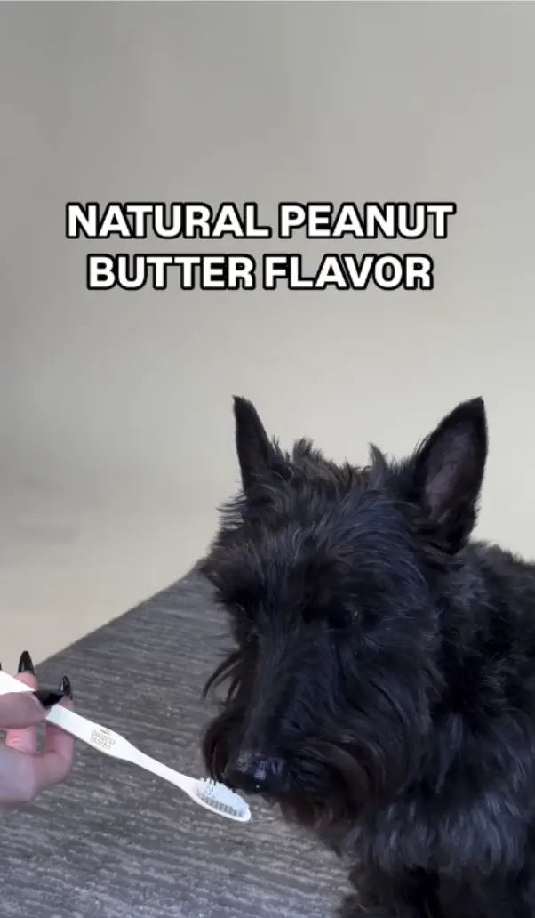 Video Thumbnail 2