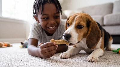 What a Vet Dental Cleaning Costs vs. What a Nightly Brushing Ritual Costs