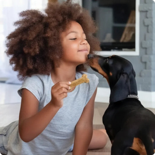 Arterra dental chew supporting canine oral health to protect kidney function and long-term systemic longevity