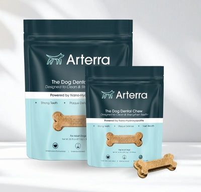Prebiotics vs. Enzymes: How to Actually Shift Your Dog's Oral Microbiome