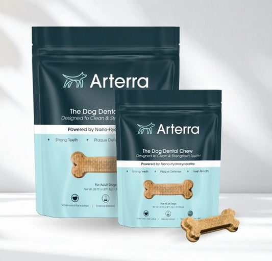 Arterra dental chews bundle featuring prebiotic chicory root and banana fiber for daily canine oral microbiome support.