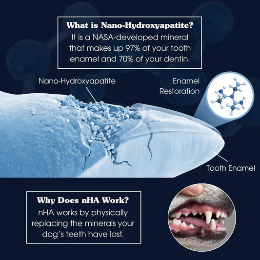 The Science of nHA: How Nano-Hydroxyapatite Rebuilds Your Dog's Enamel