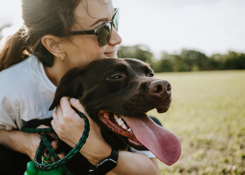 The Power of Natural Ingredients for Canine Joint Health