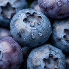Blueberry Fruit Powder