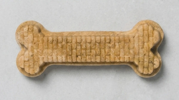 A close-up, top-down view of an Arterra dog dental chew, highlighting its specialized textured design engineered for plaque disruption and oral health.