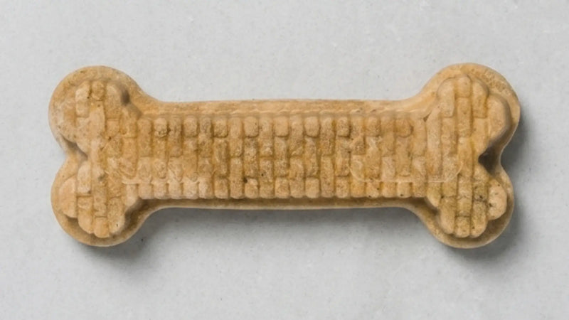 A close-up, top-down view of an Arterra dog dental chew, highlighting its specialized textured design engineered for plaque disruption and oral health.