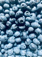 Wild Blueberry Fruit Extract