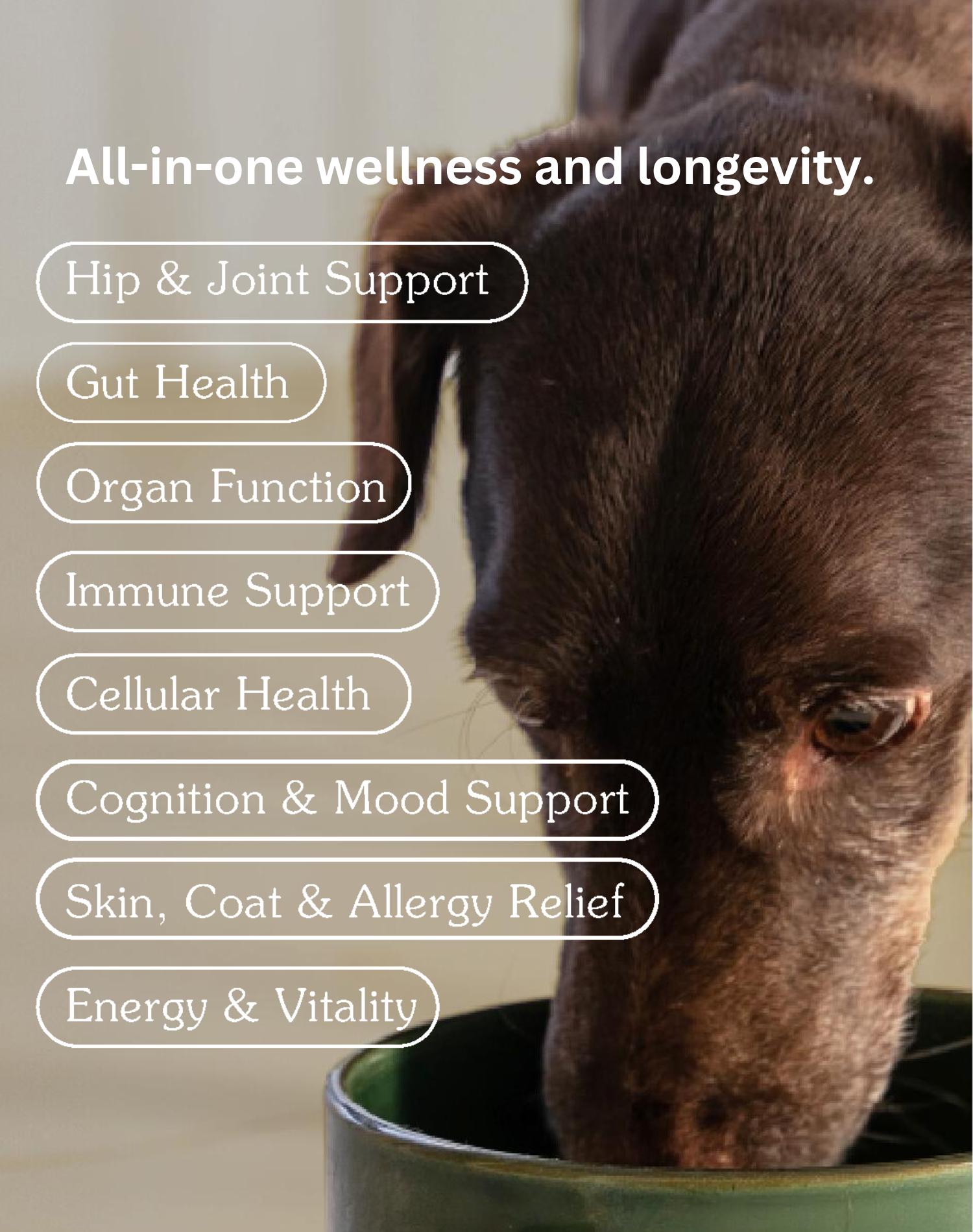 Arterra Pet Science - The daily dog supplement