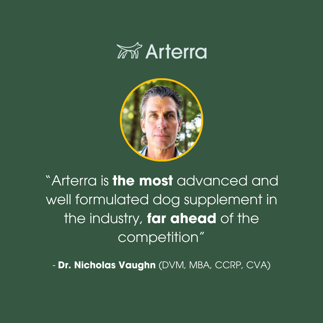 The Longevity Multivitamin