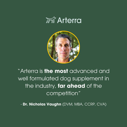 The Longevity Multivitamin