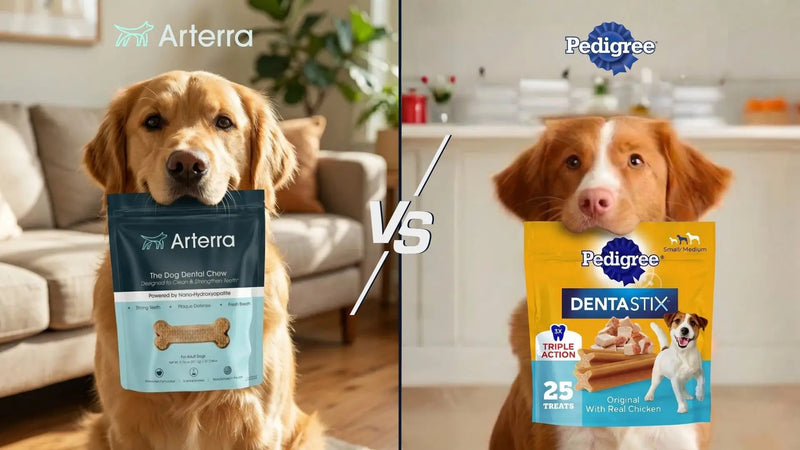 Arterra Dog Dental Chews product comparison against Pedigree Dentastix for superior canine oral health and tartar control.
