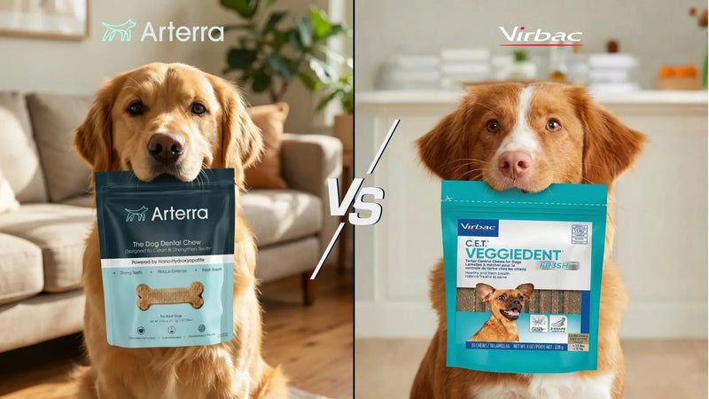 Arterra vs Virbac dental chew comparison featuring Arterra Nano-Hydroxyapatite dog chews and Virbac Veggiedent.