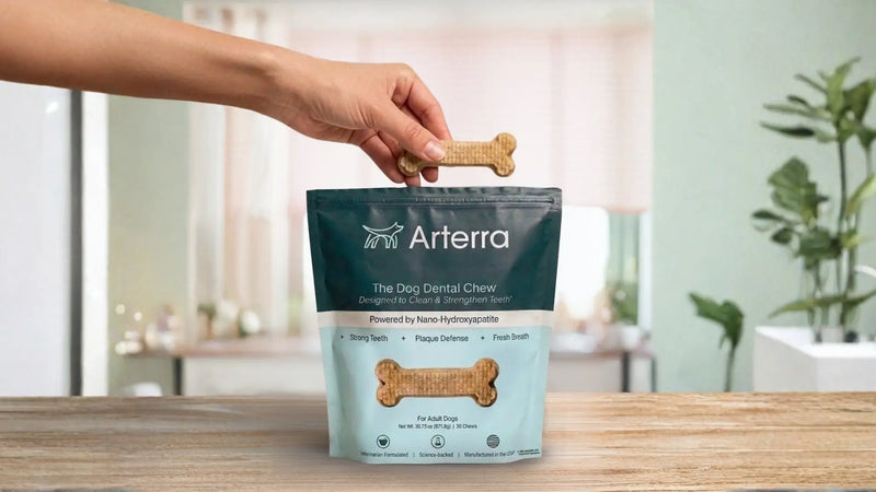 A dog mom hand holds a bone-shaped Arterra Dental Chew above its premium teal and light blue packaging. The bag highlights key benefits like "Powered by Nano-Hydroxyapatite," "Strong Teeth," "Plaque Defense," and "Fresh Breath," as well as a veterinarian-formulated and science-backed product.