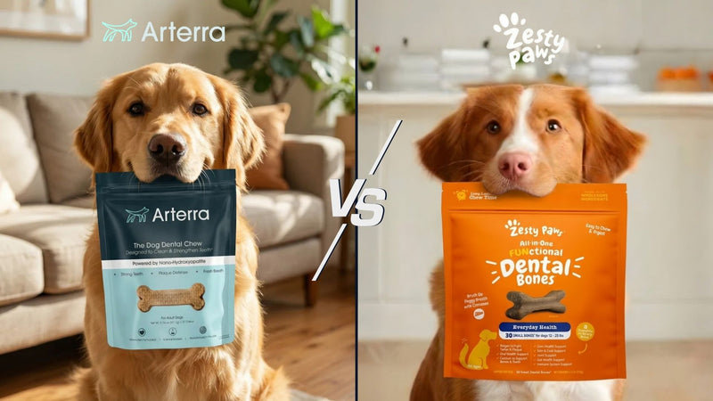 Arterra dog dental chew product comparison against Zesty Paws functional dental bones for canine oral health and plaque defense.