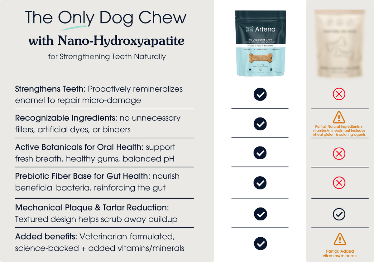 nHA vs. Traditional Dog Dental Care
