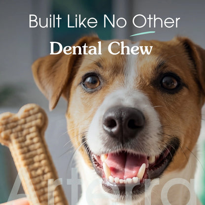 The Dog Dental Chews