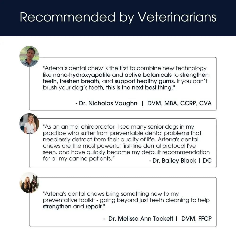 The Dog Dental Chews