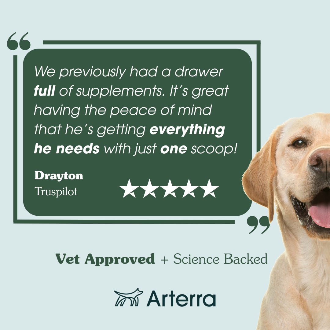 The Longevity Multivitamin