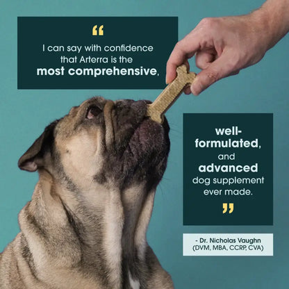 The Dog Dental Chews