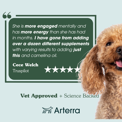 The Longevity Multivitamin