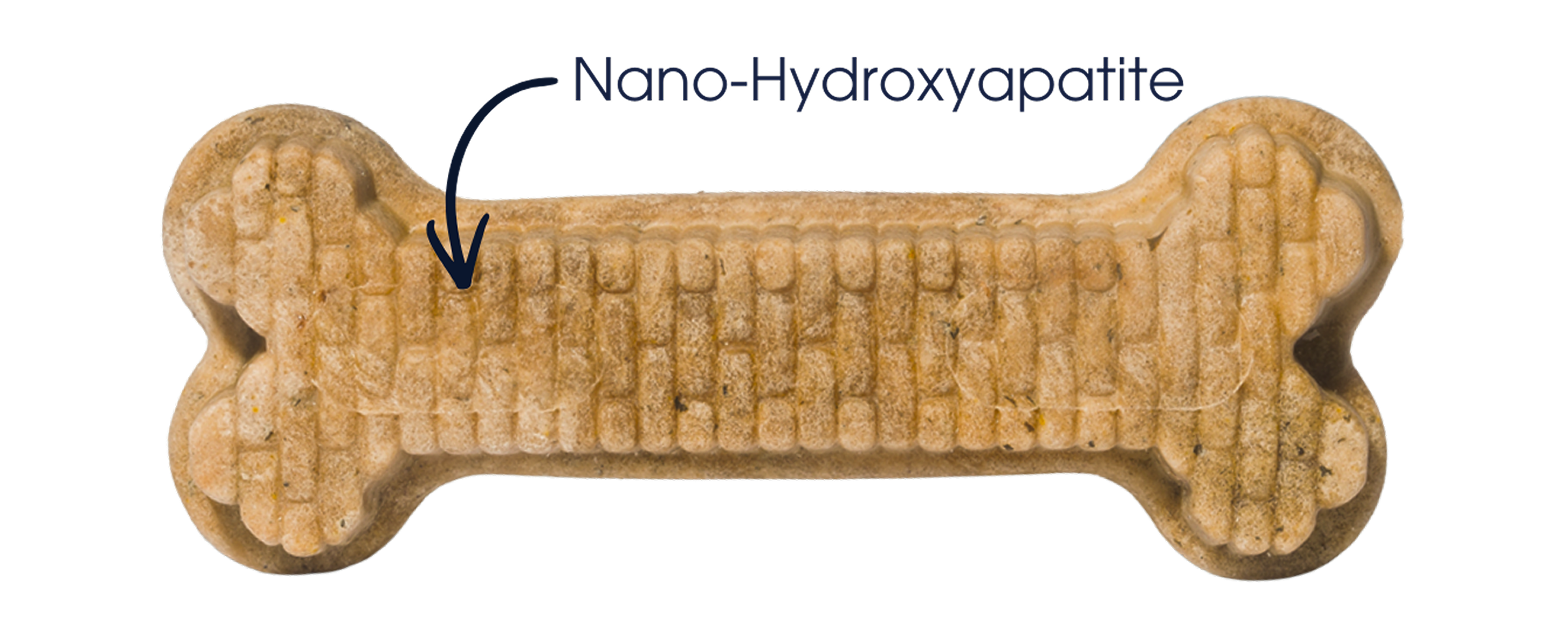 Ingredient Spotlight