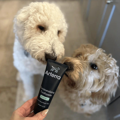 Remineralizing Dog Toothpaste