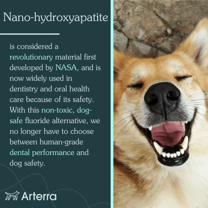 Remineralizing Dog Toothpaste