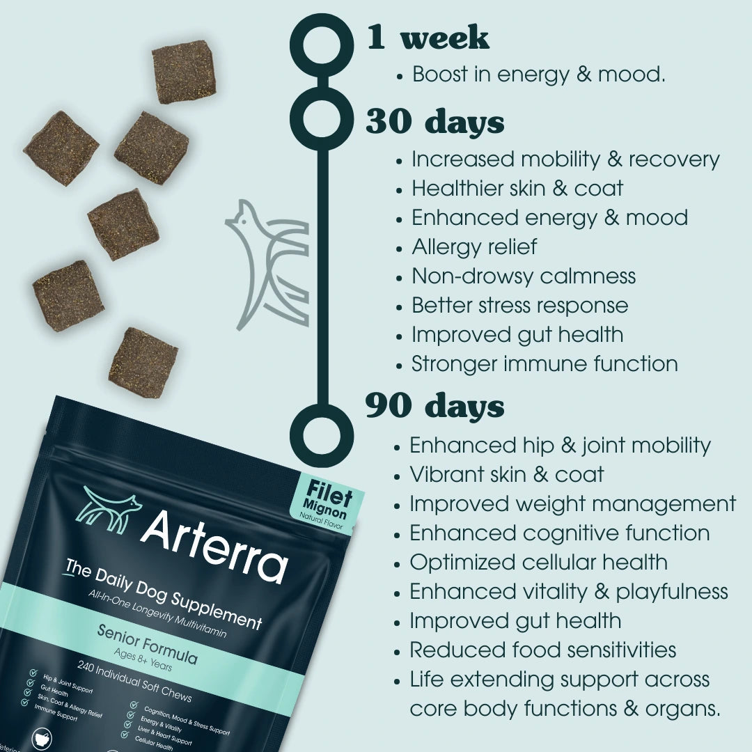 The Longevity Multivitamin