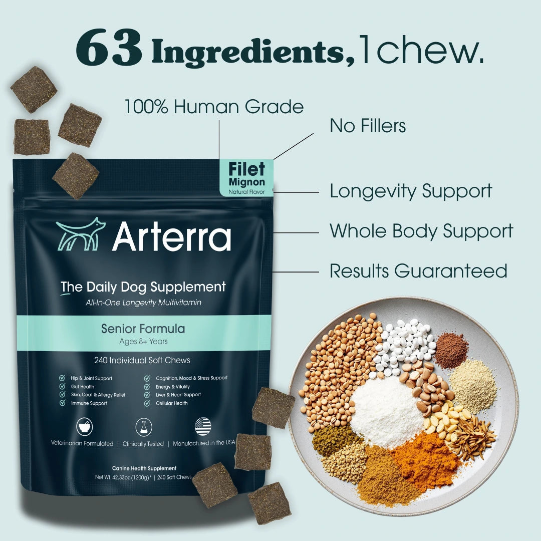 Dental Chews