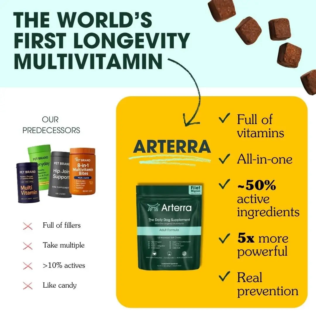 The Longevity Multivitamin