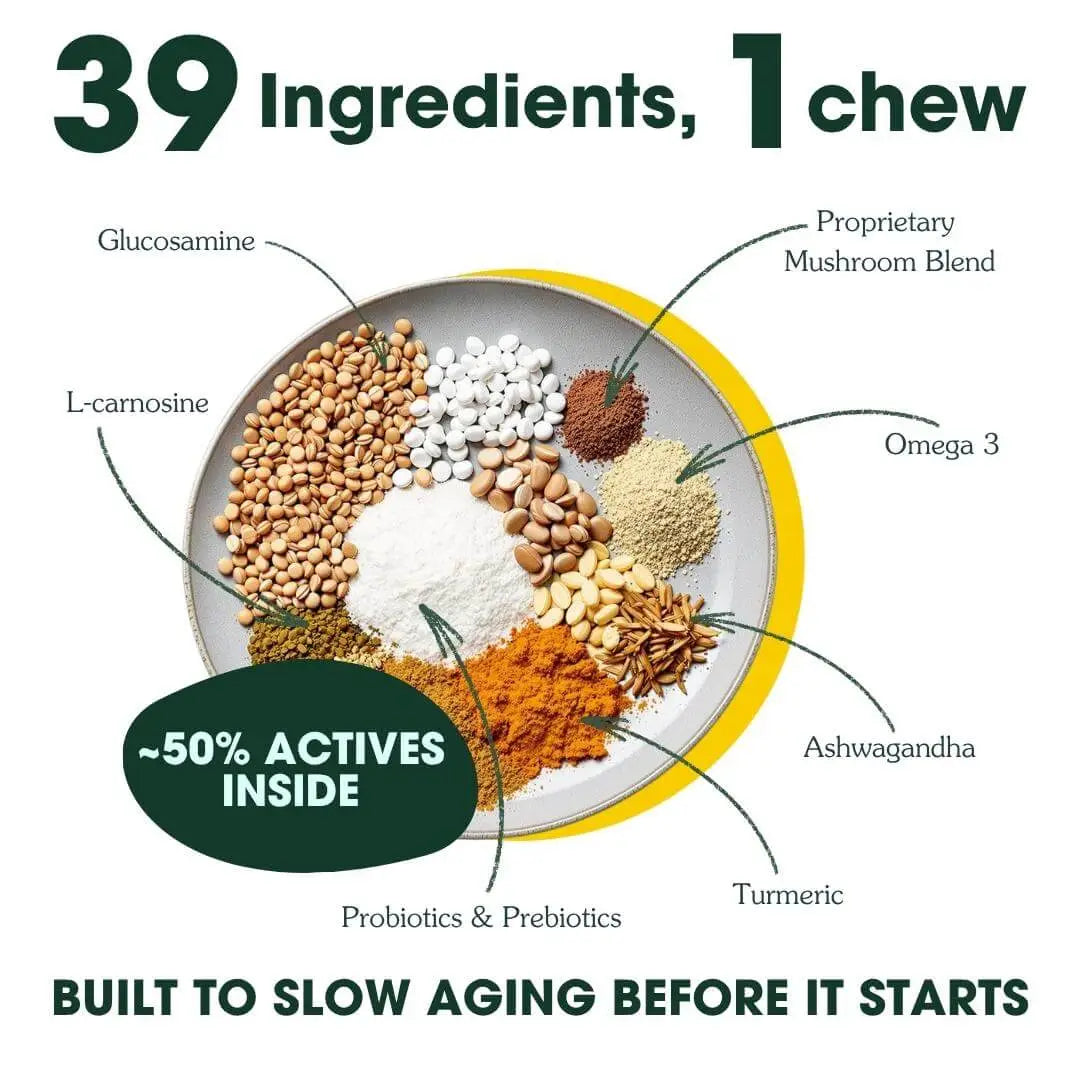 The Longevity Multivitamin