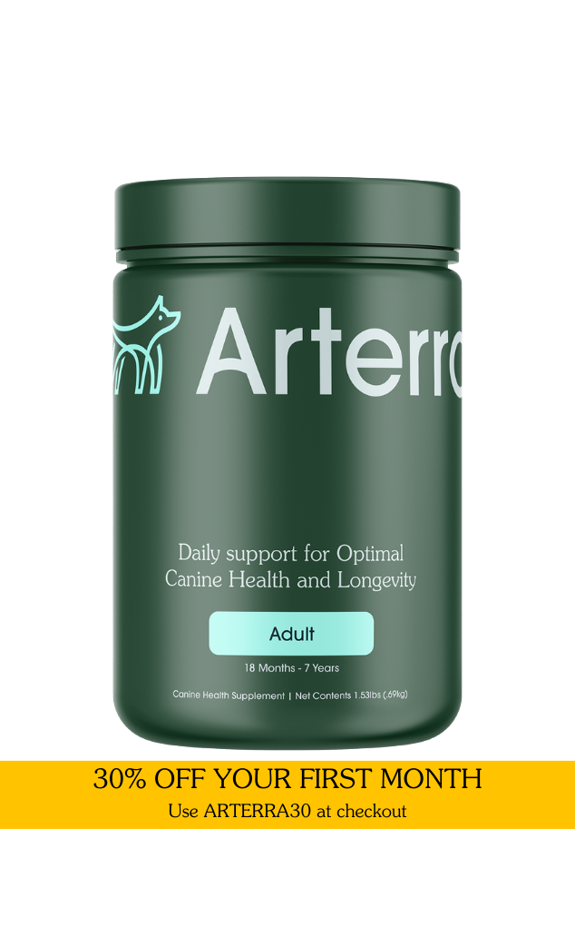 Adult Support