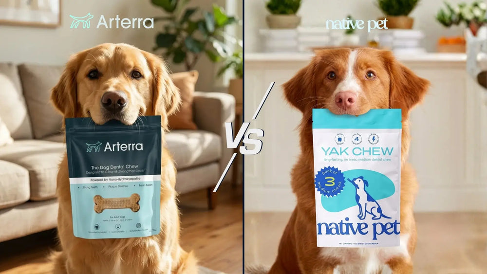A side-by-side comparison featuring a dog holding an Arterra dental chew pouch on the left and a dog holding a Native Pet yak chew package on the right.