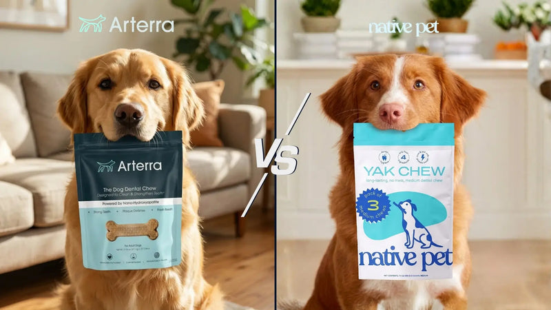A side-by-side comparison featuring a dog holding an Arterra dental chew pouch on the left and a dog holding a Native Pet yak chew package on the right.