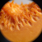 Pumpkin Fruit Powder